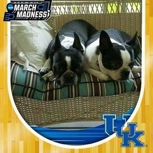 Meet your Posher, Gilda